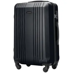 Suitcase Wings Kestrel (x4) image-1