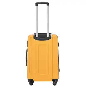 Suitcase Wings Kestrel (x4) image-4