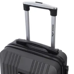 Suitcase Wings Kestrel image-4