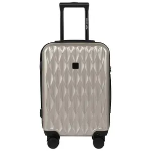 Suitcase Wings Golden Eagle 20" image-1