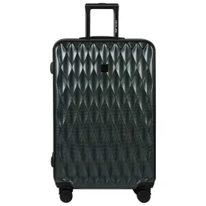 Suitcase Wings Golden Eagle 28" image-1