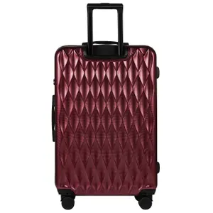 Suitcase Wings Golden Eagle 28" image-2