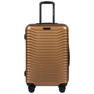 Suitcase Wings Sea Eagle (x3) image-2