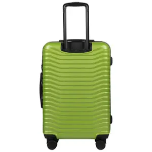 Suitcase Wings Sea Eagle (x3) image-3