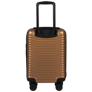 Cabin suitcase Wings Sea Eagle 18" image-2