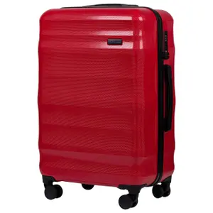 Suitcase Wings Vulture (x3) image-1