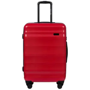 Suitcase Wings Vulture (x3) image-2