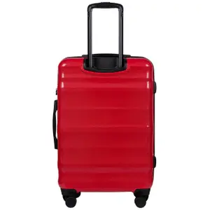 Suitcase Wings Vulture (x3) image-3