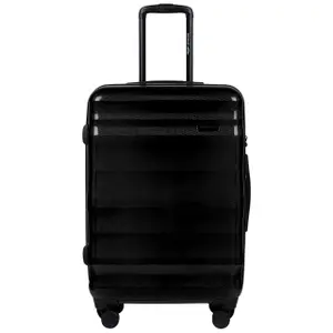 Suitcase Wings Vulture (x3) image-2