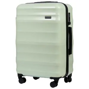 Suitcase Wings Vulture (x3) image-1