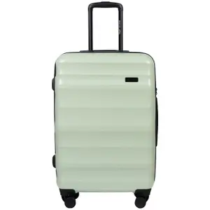 Suitcase Wings Vulture (x3) image-2