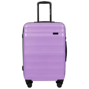 Suitcase Wings Vulture (x3) image-2