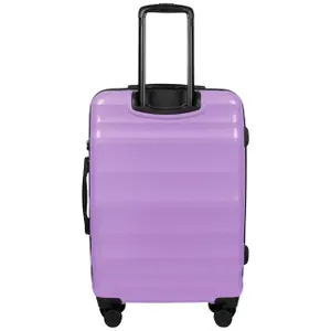Suitcase Wings Vulture (x3) image-3