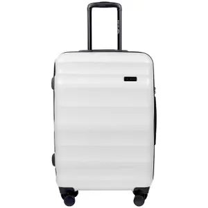 Suitcase Wings Vulture (x3) image-2