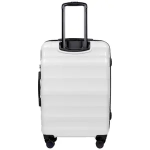 Suitcase Wings Vulture (x3) image-3