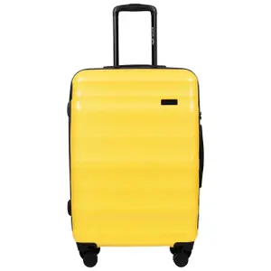 Suitcase Wings Vulture (x3) image-2