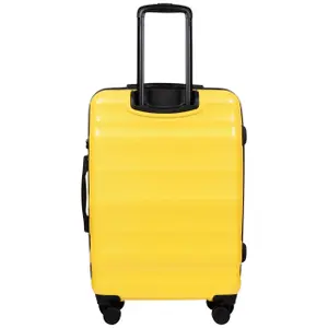 Suitcase Wings Vulture (x3) image-3