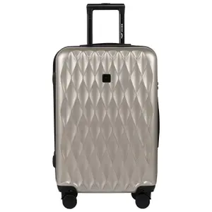 Suitcase Wings Golden Eagle (x3) image-2