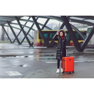 Suitcase Wings African Eagle 24" image-3