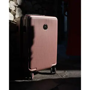 Suitcase Wings African Eagle 20" image-1
