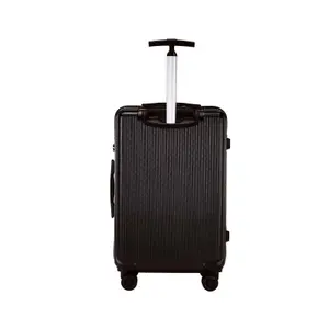 Suitcase Wings Pc African Eagle 2.0 (x3) image-4