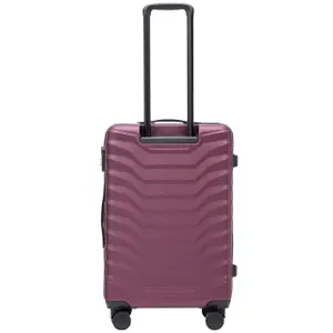 Suitcase Wings Peafowl (x3) image-3