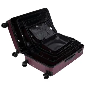 Suitcase Wings Peafowl (x3) image-6