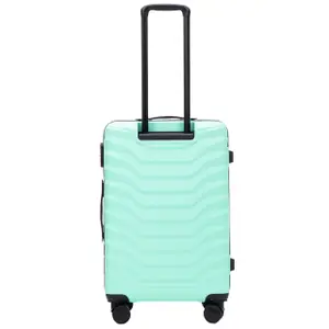 Suitcase Wings Peafowl (x3) image-3