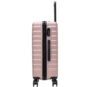 Suitcase Wings Peafowl (x5) image-1