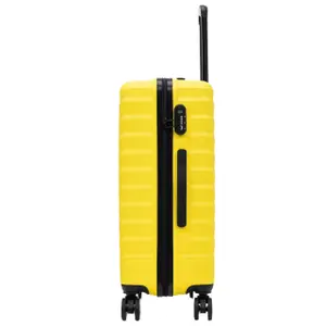 Suitcase Wings Peafowl (x5) image-1