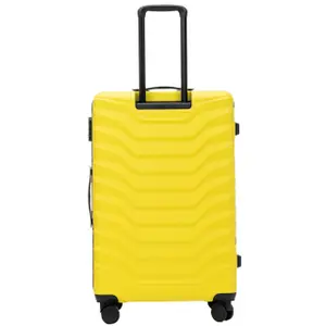 Suitcase Wings Peafowl 28" image-2