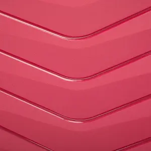 Suitcase Wings Phoenix 24" image-6