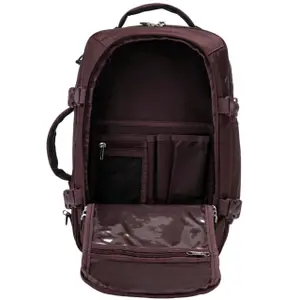2 in 1 Backpack for Women Wings Tanager image-2