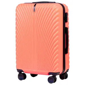 Suitcase Wings Swan (x5) image-1