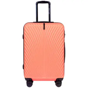 Suitcase Wings Swan (x5) image-2