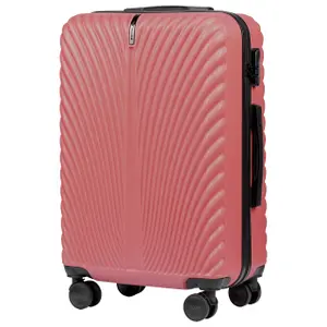Suitcase Wings Swan (x5) image-1