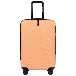 Suitcase Wings Swan (x5) image-6