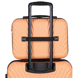 Suitcase Wings Swan image-1