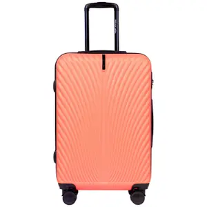 Suitcase Wings Swan 24" image-2