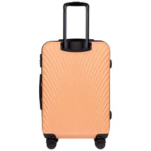 Suitcase Wings Swan 24" image-1