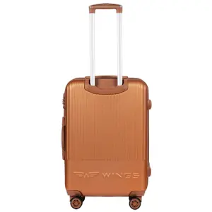 Suitcase Wings Swallow 3.0 (x3) image-3