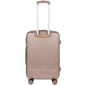 Suitcase Wings Swallow 3.0 (x3) image-3