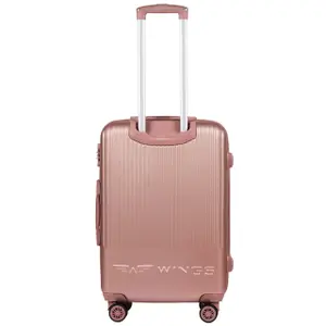 Suitcase Wings Swallow 3.0 (x3) image-3