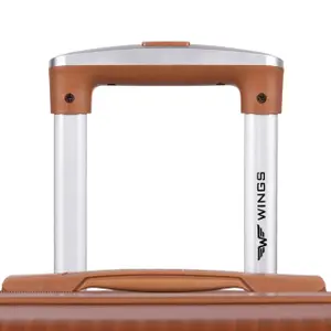 Suitcase Wings Swallow 3.0 (x3) image-6