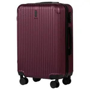 Suitcase Wings Egret (x3) image-1