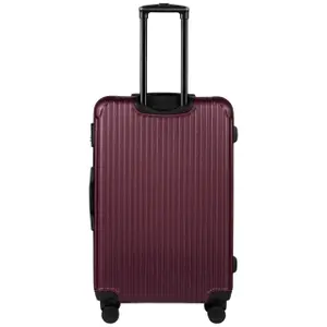 Suitcase Wings Egret 28" image-2