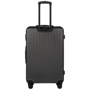 Suitcase Wings Egret 28" image-2