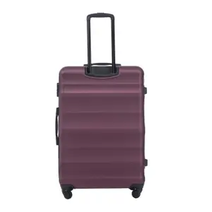 Suitcase Wings Vulture 28 image-1