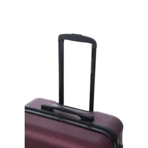 Suitcase Wings Vulture 28 image-3