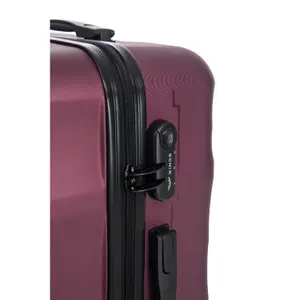 Suitcase Wings Vulture 28 image-5